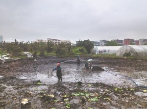 淮阴河道鱼塘清淤